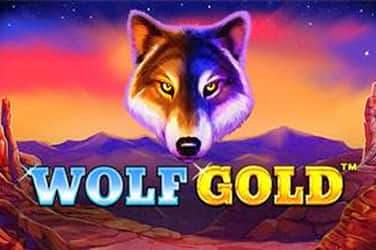 image Wolf Gold